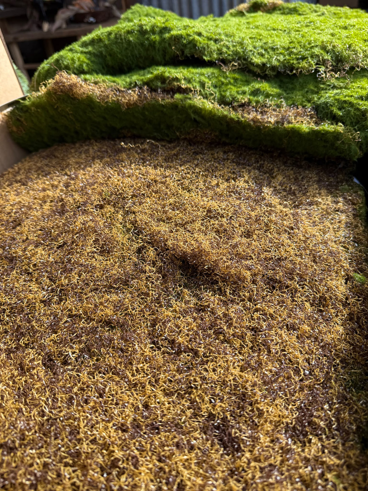 Mosmat namaak 50 x 50 cm; groene en bruine gedroogde moslaagjes zichtbaar